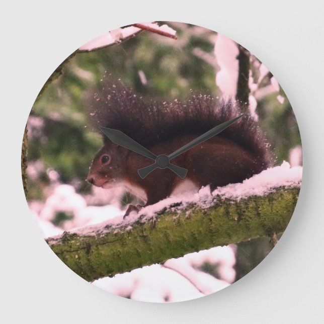 Squirrel Winter Photo  Round  Wall Clock (Front)