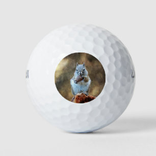 Squirrel with a Pine Cone Golf Balls