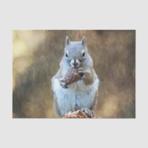 Squirrel with a Pine Cone Tissue Paper