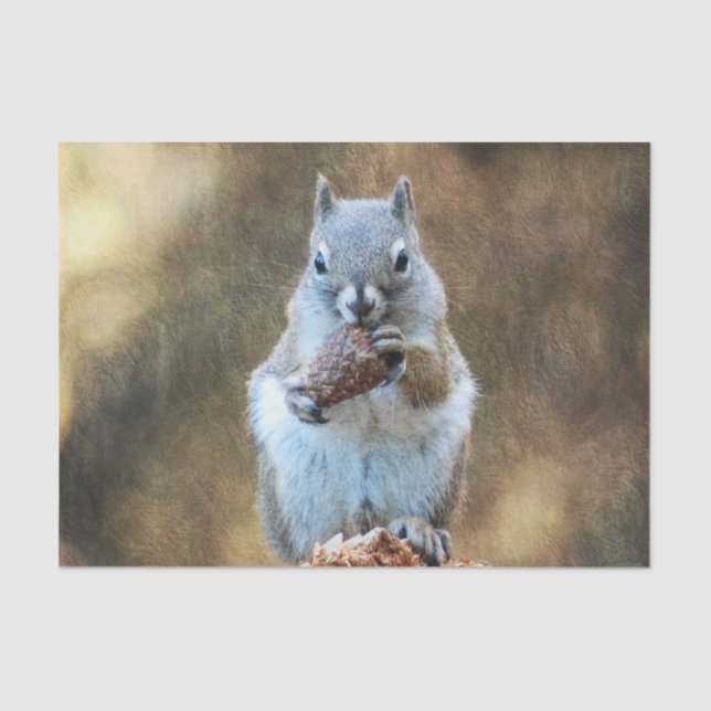 Squirrel with a Pine Cone Tissue Paper (Front)