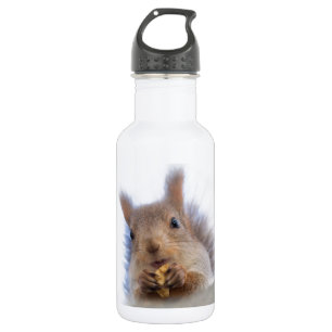 Squirrel with a walnut 532 ml water bottle