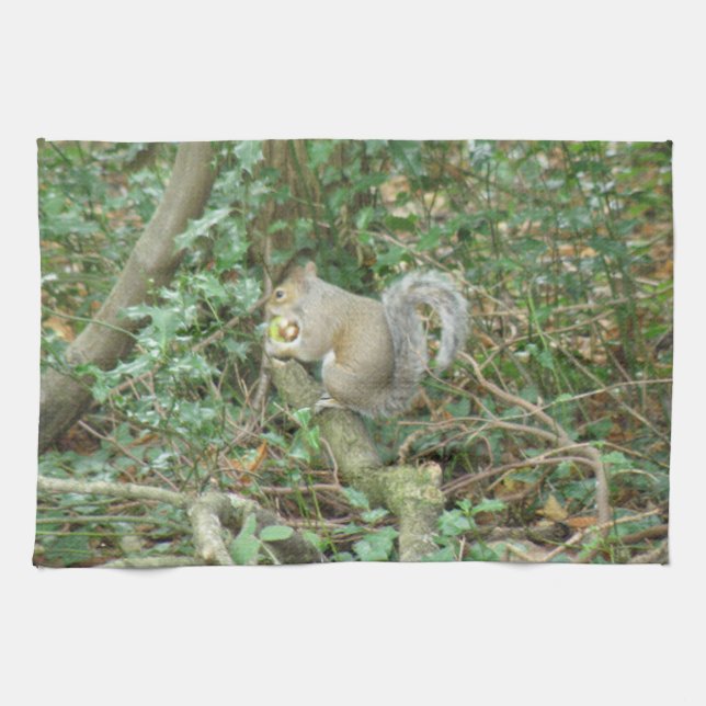 Squirrel with Acorn Kitchen Towel (Horizontal)