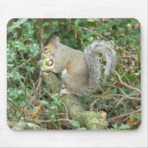 Squirrel with Acorn Mousepad
