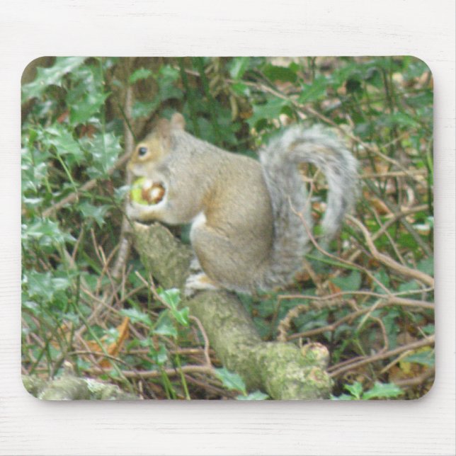 Squirrel with Acorn Mousepad (Front)