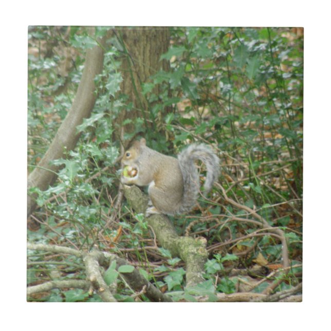 Squirrel with Acorn Tile (Front)