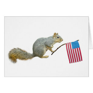 Squirrel with American Flag