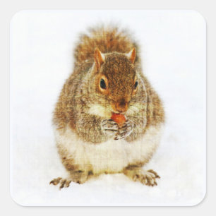 Squirrel with an Acorn Square Sticker