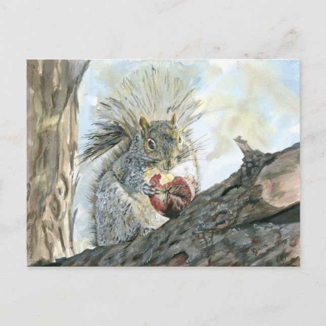 Squirrel with apple postcard (Front)
