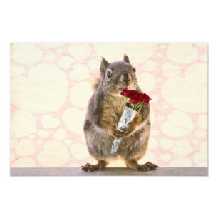 Squirrel with Bouquet of Red Roses Photo Print