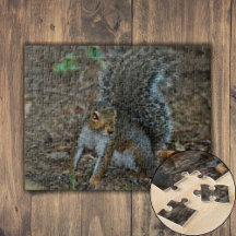 Squirrel with glowing eyes