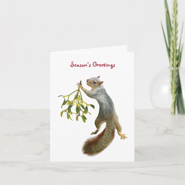 Squirrel with Mistletoe Card (Front)