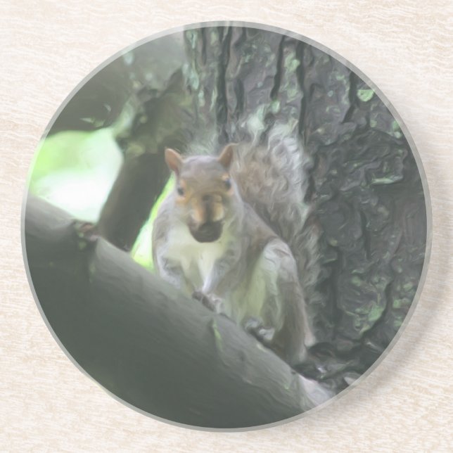 Squirrel With Nut Animal Nature Coaster (Front)