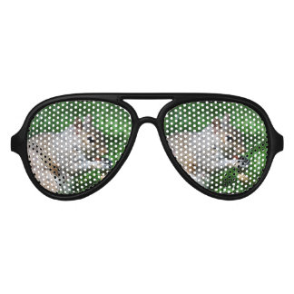Squirrel with Nut Aviator Sunglasses