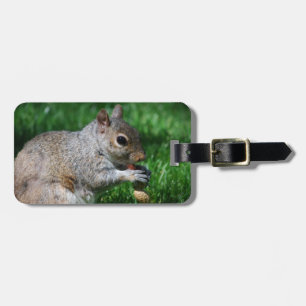 Squirrel with Nut Luggage Tag
