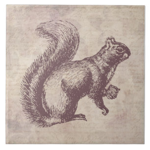 Squirrel with Nut Vintage Art Floral Script Style Tile
