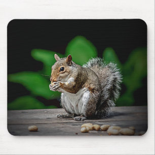 Squirrel with peanuts mouse pad