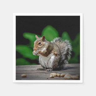 Squirrel with peanuts napkin