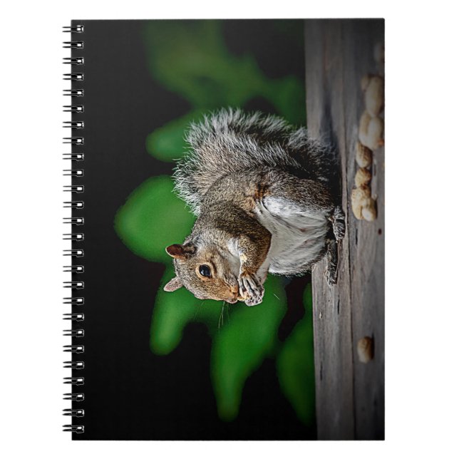 Squirrel with peanuts notebook (Front)