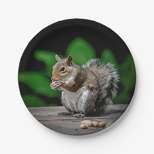 Squirrel with peanuts paper plate (Front)