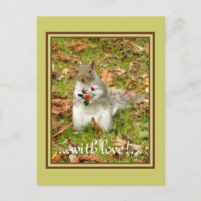 Squirrel with roses postcard (Front)