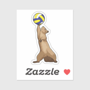 Squirrel with Volleyball