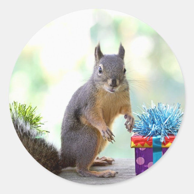 Squirrel with Wrapped Presents Classic Round Sticker (Front)
