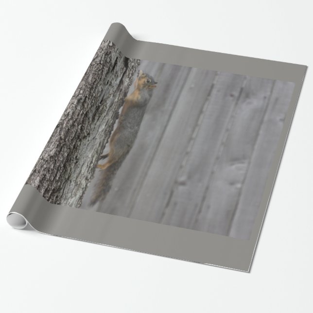 Squirrel Wrapping Paper (Unrolled)