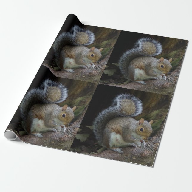 Squirrel Wrapping Paper (Unrolled)