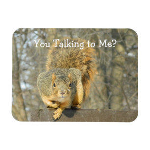 Squirrel (You Talking) Magnet