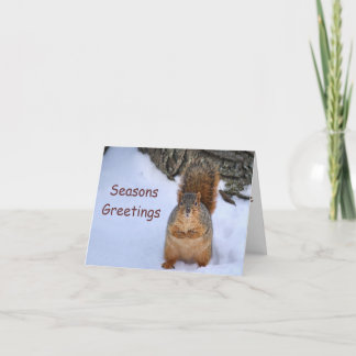 SquirrelChristmas Holiday Card
