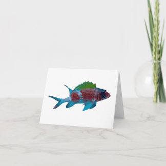 Squirrelfish card