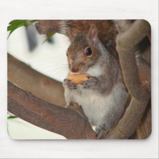 squirrelfriend mouse pad