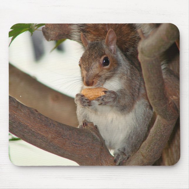 squirrelfriend mouse pad (Front)
