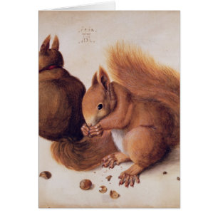 Squirrels, 1512