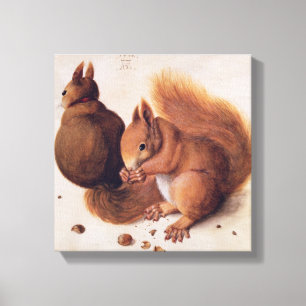 Squirrels, 1512 canvas print