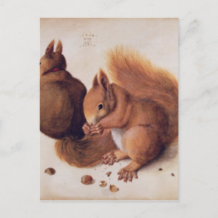 Squirrels, 1512 postcard