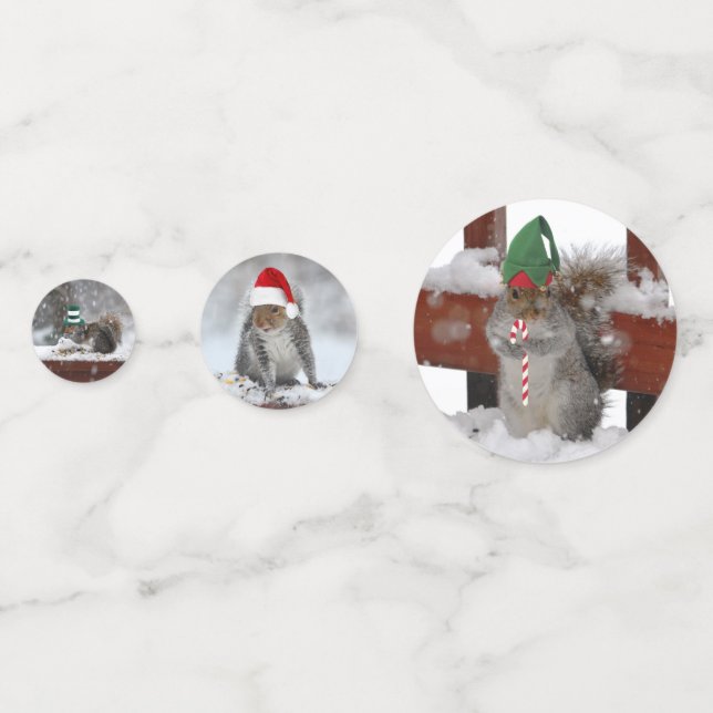 Squirrels and Christmas Hats Table Confetti (Fronts)