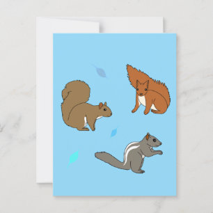 Squirrels Blue Postcard