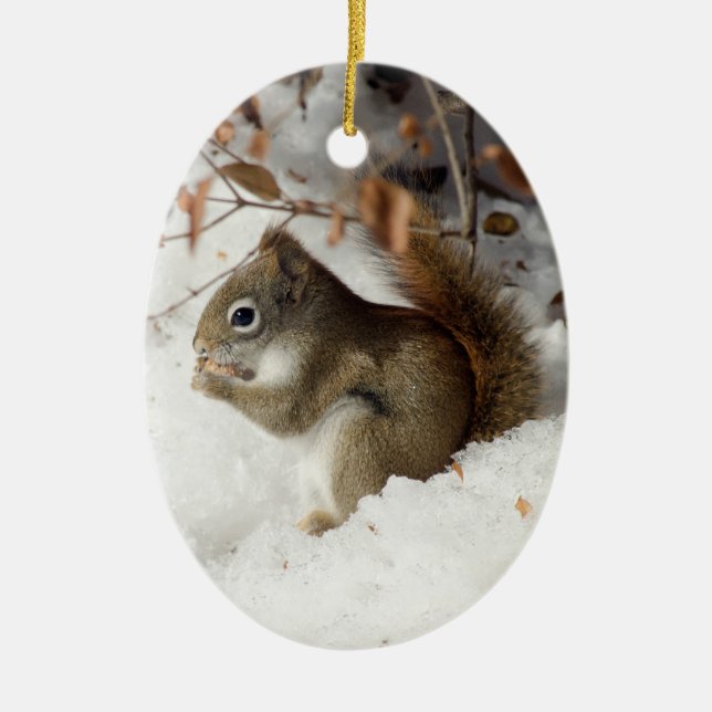 Squirrel's Breakfast Ceramic Tree Decoration (Front)