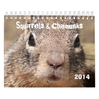 Squirrels & Chipmunks Calendar