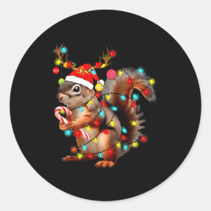 Squirrels Christmas Lights Funny Xmas Squirrel Lov Classic Round Sticker