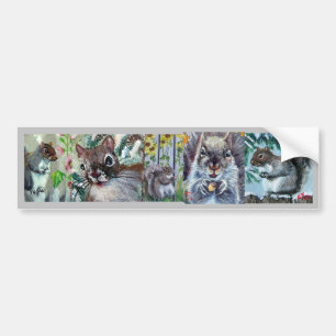 Squirrels Galore Bumper Sticker