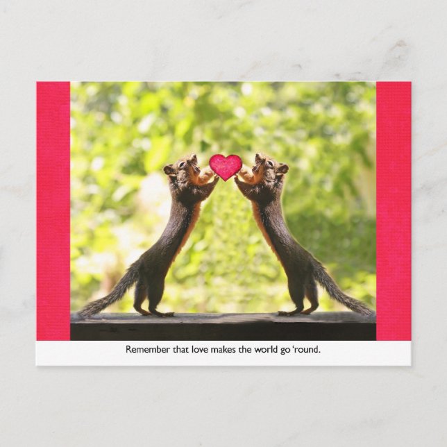 Squirrels in Love Postcard (Front)