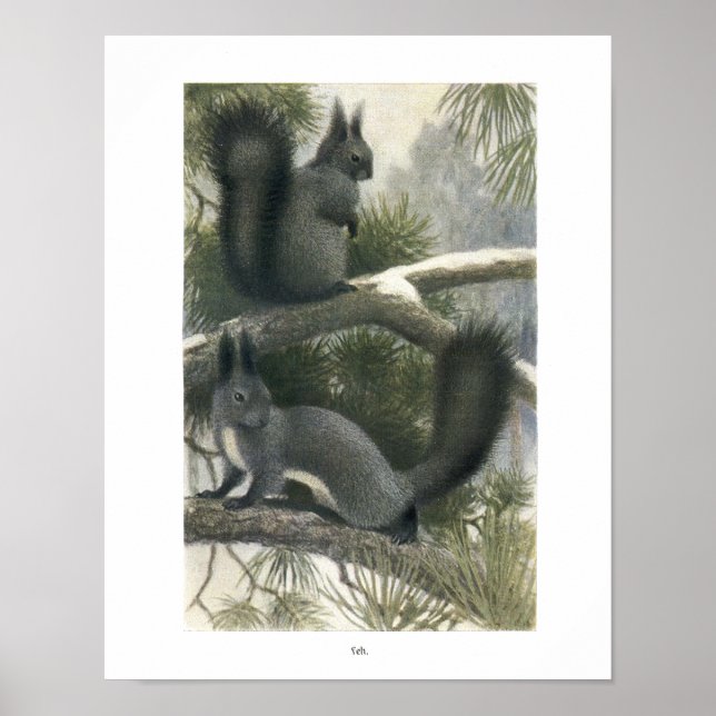 Squirrels in the Forest Print (Front)