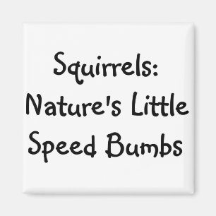 Squirrels Magnet