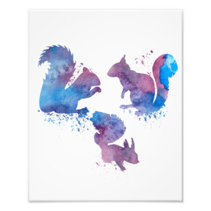 Squirrels Photo Print