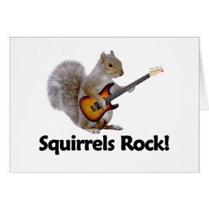 Squirrels Rock!