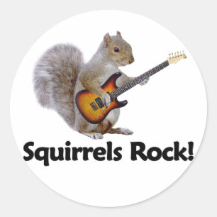 Squirrels Rock! Classic Round Sticker