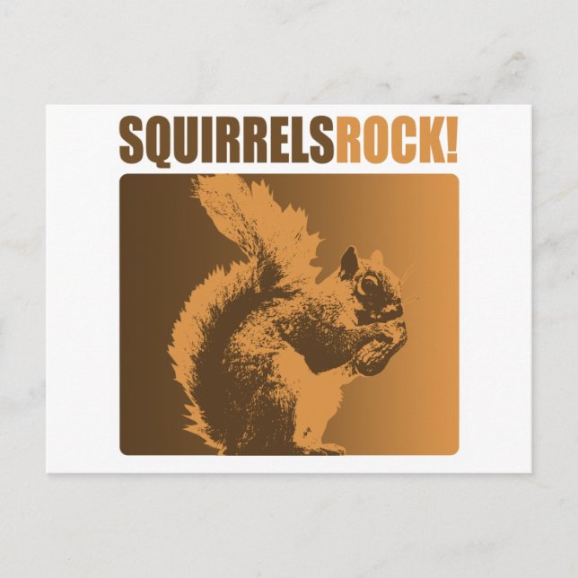Squirrels Rock! Postcard (Front)