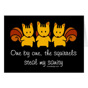 Squirrels steal my sanity